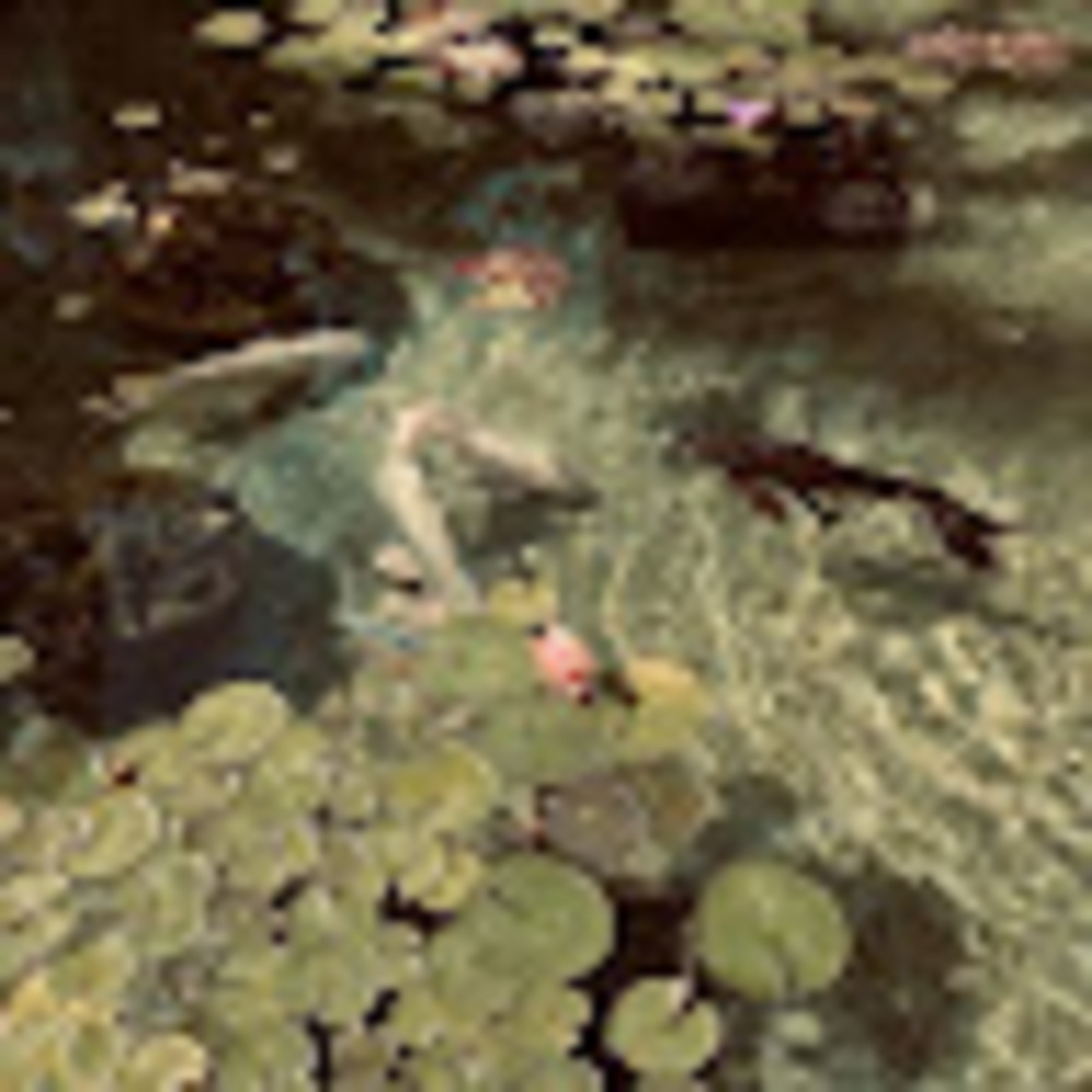 Meet your Posher, Lola